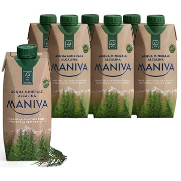 24 brick in tretapack cartone acqua maniva