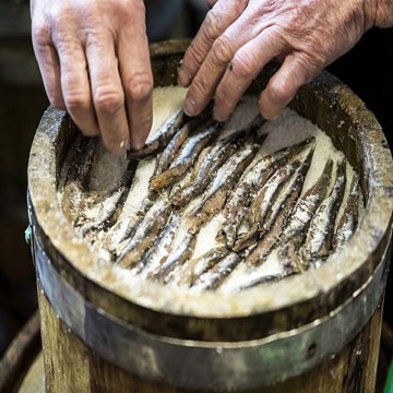 Filetti di Alici all'Olio di Semi di Girasole