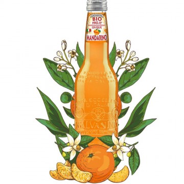 succo mandarino bio galvanina