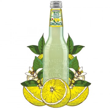 limonata biologica galvanina