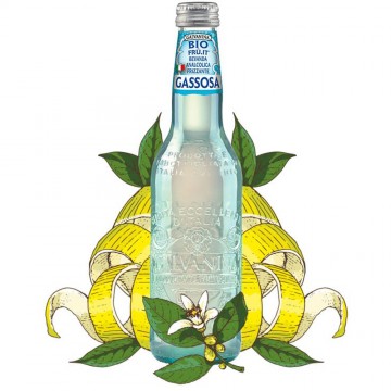 gassosa biologica galvanina