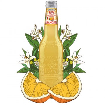 aranciata biologica galvanina