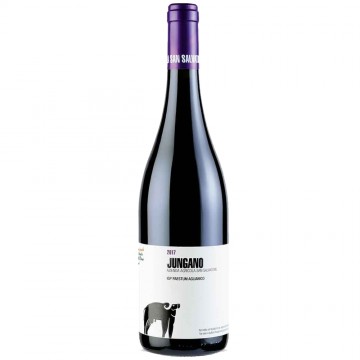 aglianico jungano san salvatore