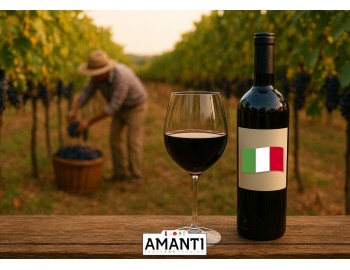 La Stagione della Vendemmia: Tradizioni Italiane e Vini di Qualità